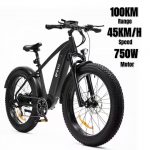 DYV KING750MTB _00