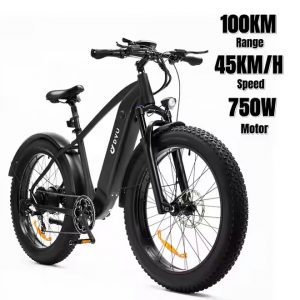 DYV KING750MTB _00 DYV KING750MTB _00